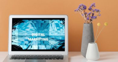 publicite ou strategies alternatives
