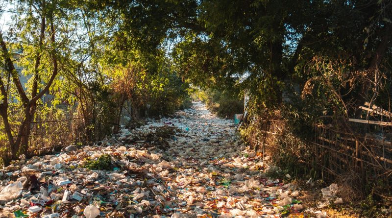 Chemin envahi par des déchets plastiques, illustrant la persistance de la pollution dans le temps.