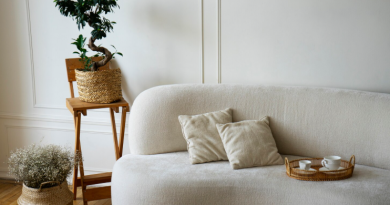 un canapé avec des plantes en pot