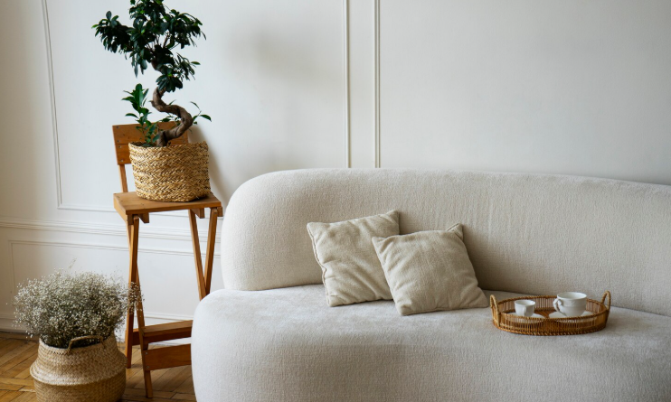 un canapé avec des plantes en pot