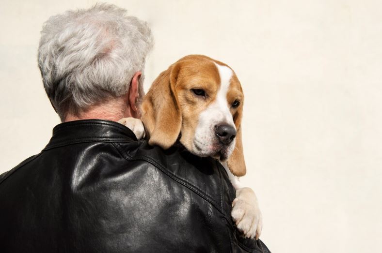Une personne âgée vue de dos tenant son chien Beagle contre son épaule