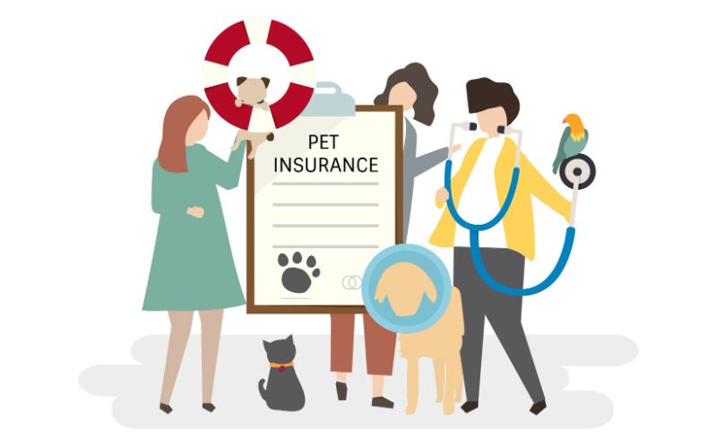 des propriétaires d'animaux et un vétérinaire entourant un contrat d'assurance pour chiens et chats
