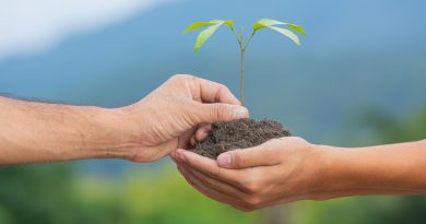 Deux paires de mains soutiennent ensemble une poignée de terre fertile d'où émerge une jeune pousse verte, avec en arrière-plan un paysage naturel et verdoyant sous un ciel légèrement brumeux.