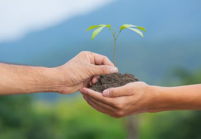 Finzzle Groupe et FinzzAct : quand la philanthropie devient un engagement collectif Deux paires de mains soutiennent ensemble une poignée de terre fertile d'où émerge une jeune pousse verte, avec en arrière-plan un paysage naturel et verdoyant sous un ciel légèrement brumeux.