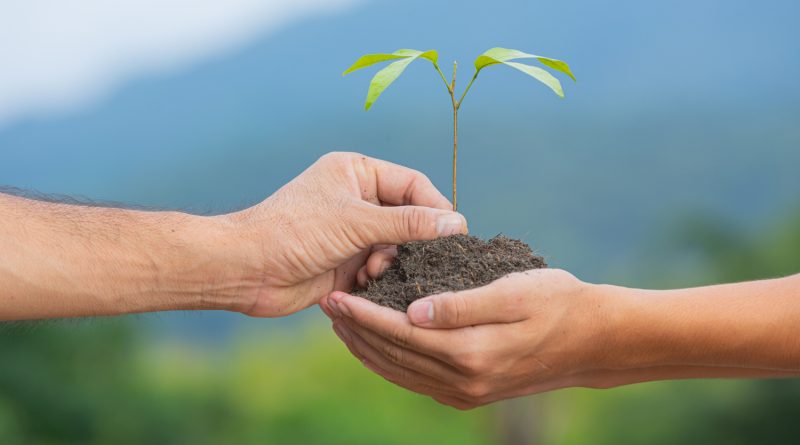 Deux paires de mains soutiennent ensemble une poignée de terre fertile d'où émerge une jeune pousse verte, avec en arrière-plan un paysage naturel et verdoyant sous un ciel légèrement brumeux.